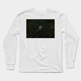 Spider and Its Web - Early Morning Light Long Sleeve T-Shirt